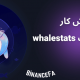 آموزش کار با وب سایت whalestats